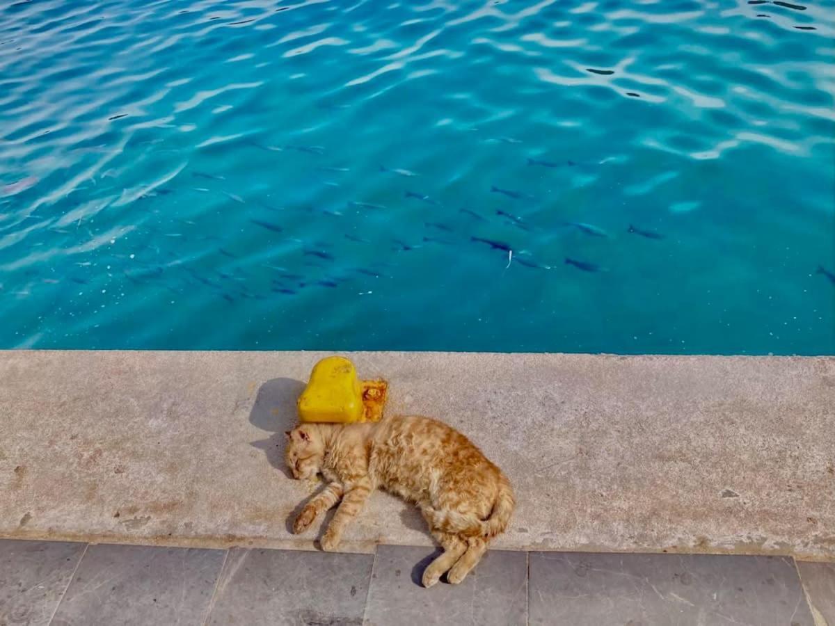 Charming Chios Island Getaway In A Cozy Chios Town