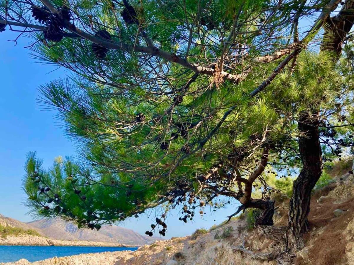 Charming Chios Island Getaway In A Cozy Chios Town