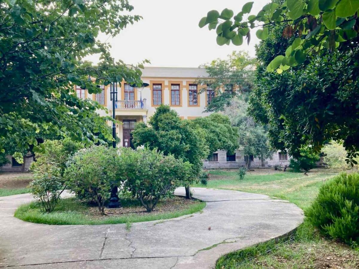 Charming Chios Island Getaway In A Cozy *