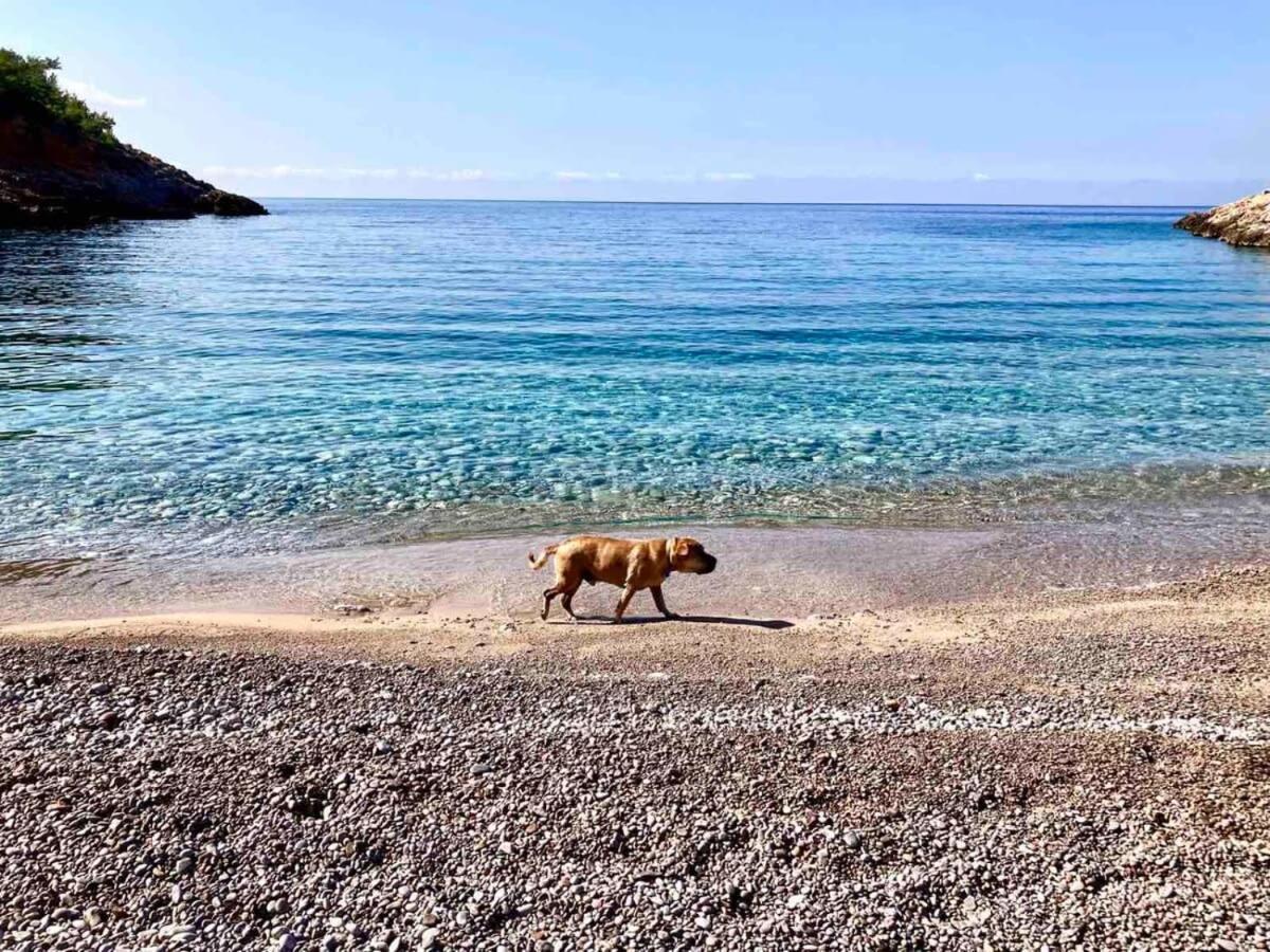 Charming Chios Island Getaway In A Cozy * Chios Town